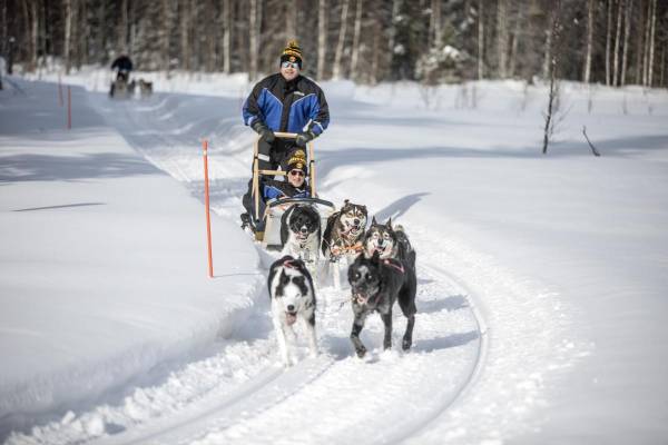 $!Continental WinterContact 2023: seguridad palpable