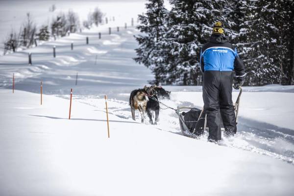 $!Continental WinterContact 2023: seguridad palpable