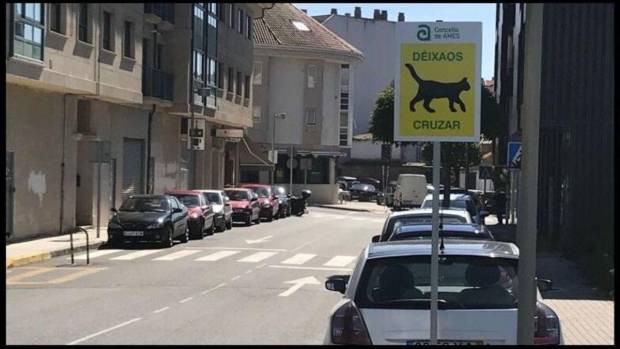 $!La señal de tráfico que se instaló en Galicia que muestra precaución por los gatos