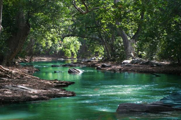 $!Se tratan de demarcaciones que buscan preservar y gestionar el agua