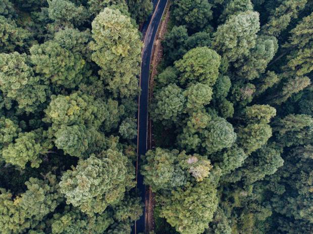 $!Las 6 rutas por carretera más aterradoras que puedes encontrar