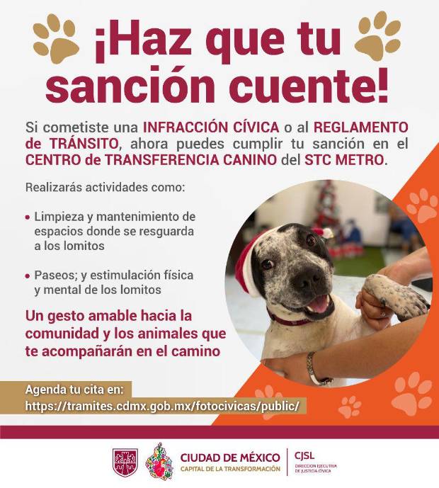 $!El anuncio de Justicia Cívica donde aparece la posibilidad de pagar la multa por pasear perros