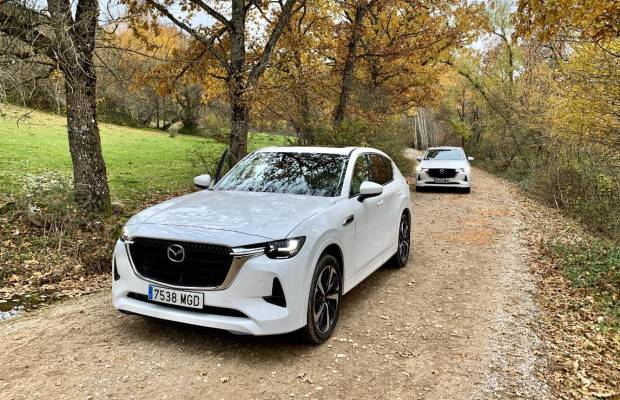 $!Mazda compensa su huella de carbono en los bosques de Soria