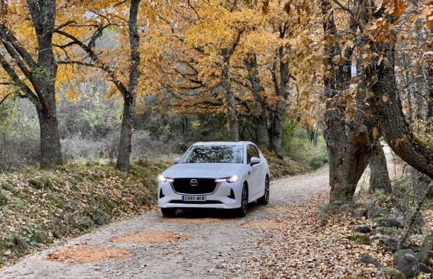 $!Mazda compensa su huella de carbono en los bosques de Soria