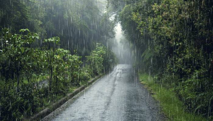 La lluvia intensa puede ser muy peligrosa si no estás preparado