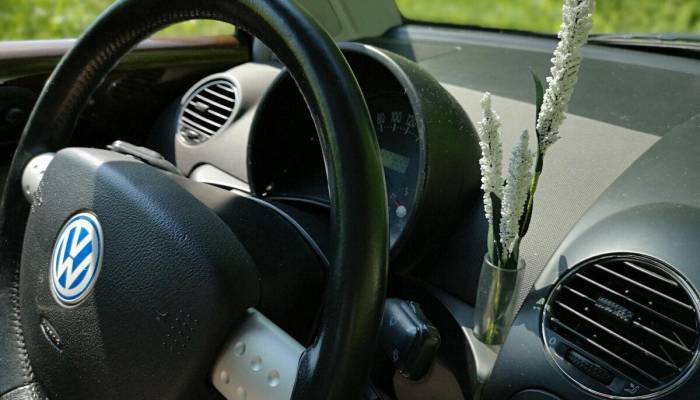 Un coche tenía un curioso elemento en su salpicadero