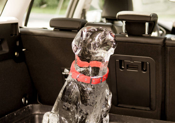 Ford crea una tecnología que alerta de la presencia de niños o mascotas al salir del coche