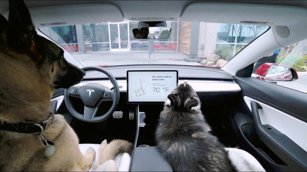 Tesla lanza el Dog Mode para proteger a nuestras mascotas