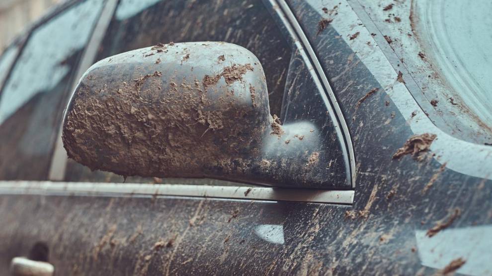 Dos trucos infalibles para limpiar los mosquitos del coche