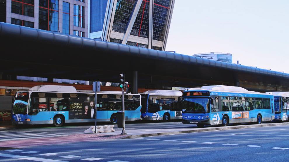 Viajar en bus hoy y mañana es gratis