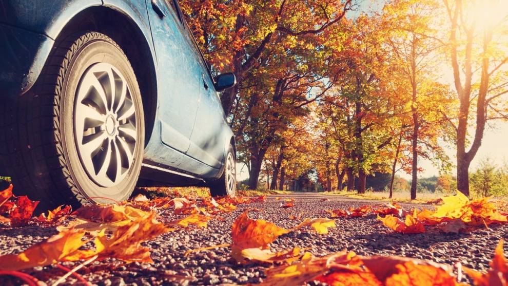 Estos 7 consejos pueden salvarte la vida en carretera este otoño