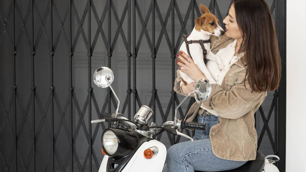 Existen una serie de normas para llevar a tu perro en la moto